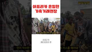 손등에 키스하는 아프리카 거래방법 #에티오피아 #아프리카 #여행유튜브