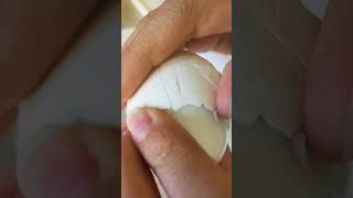 Boiled #egg #asmr #satisfying #shorts #shortsfeed #short