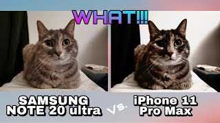 Samsung Galaxy Note 20 Vs. iPhone 11 Pro Max Camera Comparison | the result will shock you