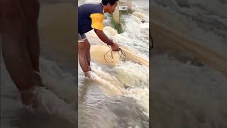 Fisherman Cast Net Fishing Real Life Amazing Fishing At Countryside.(Episode 234)