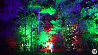 Behind The Scenes: Glowing Woodlands With S4i® Architectural Lights