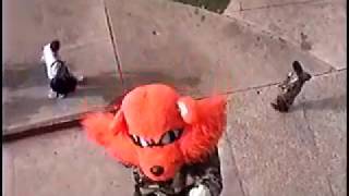 Sammy Bearkat 2003 National Competition Entry Video