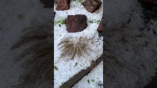 Severa granizada en Worcester, UK   24se