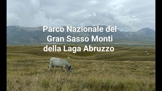 Un giro in macchina tra le montagne dell' Abruzzo/ atmosfere mozzafiato! #abruzzo