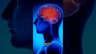 Brain Functions #Brain #shorts #shot #viralvideo #viral