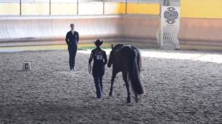 YOUTH SHOWMANSHIP. IAF 6731