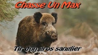 Chasse au sanglier/ tir d'un gros sanglier 2014/2015