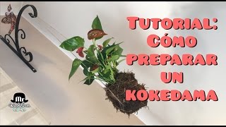 Tutorial : cómo preparar un kokedama fácil y decorativo