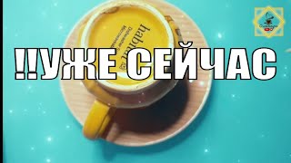 ‼️УЖЕ СЕЙЧАС 🤲НА ЭТОЙ НЕДЕЛИ⛵️ФОКУС НА... Гадание на кофейной гуще ☕️