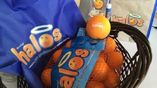 Halos Giveaway on EncinoMom.com, Wonderful California Mandarins