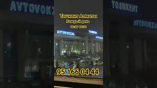 Алматы Ташкент спальный салон автобус #uzbekistan #tashkent #almaty #алматы #toshkent