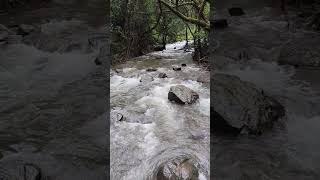 River sound 😱😯#shorts #barki #river #shahuwadi #nature