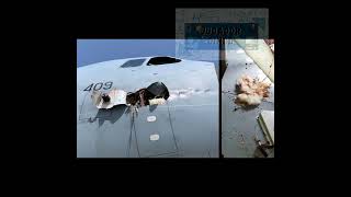 AVIACION-Accidentes Aereos-Parte 6