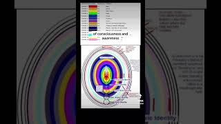 🧬Light Body Structure #lightbody #metaphysicalanatomy #ascensionguide