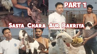 Sasta Chara Aur Bakriya only at Hasan Goat Farm Charminar Murgi Chowk Hyderabad