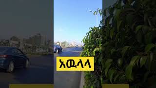 አዉላላ #Shorts #shortsvideo #shortviral #youtubeshorts #youtubeviral #ethiopia #funnyvideos #visit #ኢት