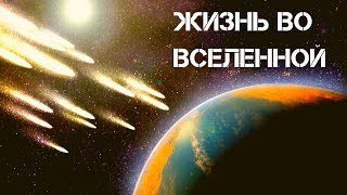 ЖИЗНЬ ВО ВСЕЛЕННОЙ | ЗАГАДКИ КОСМОСА