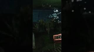 Berenang Tengah Malam