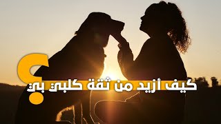 لا تقم بهذه التصرفات لكي لا تخسر ثقة كلبك بك!