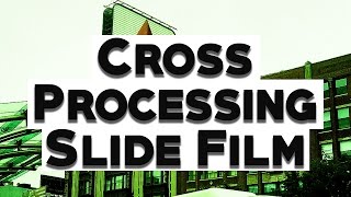 CROSS PROCESSING SLIDE FILM | Example Photos Included