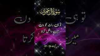 Surah Imran urdu translation beautfull voice