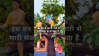 Krishay vasudevay harye parmatmne mantr ka jap#trending #bhajan #radhakrishna #viral