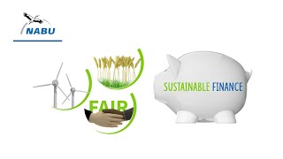 Was ist Sustainable Finance?