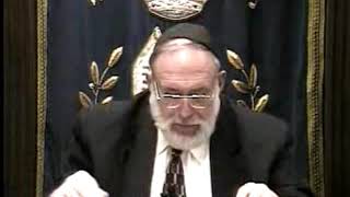 Rabbi Spivak's Class: Libido and War