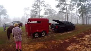 Free Boondocking In The Desoto National Forest