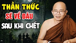 Giải Đáp Thắc Mắc : Sau Khi CHẾT Thì Thần Thức Sẽ Đi Về Đâu | Sư Toại Khanh - Sư Giác Nguyên