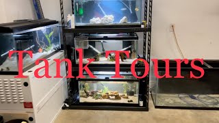 A Tour of My Tanks (most of them)!