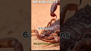 For "TOP 10 DANGEROUS ANIMALS IN THE WORLD 🌎"#shortvideo #ytshort