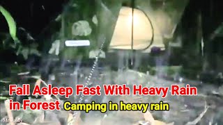 Fall Asleep Fast With Heavy Rain in Forest