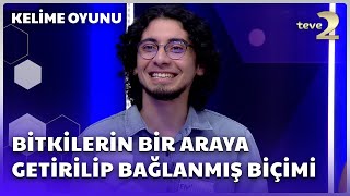 Bitkilerin Bir Araya Getirilip Bağlanmış Biçimi | Kelime Oyunu