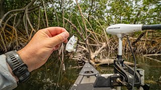 Jumped in the Water to Catch the Fish that Hit this Bait!