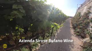 Bufano Sirose Magnifici vigneti a Locorotondo