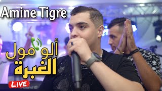 Cheb Amine Tigre Live 2024 - Allo Moul lGhobra جيبهالي حجرة ft Hamouda Maradon