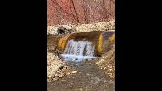 Coolest Waterfall I've Seen in a While