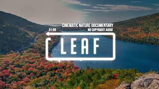 Cinematic Nature Drone Documentary - Leaf (No Copyright Audio)