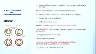 protostomes and deuterostomes #zoology #biologyclass12 #iasexam #biologynotes #phylums