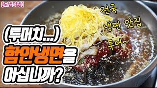 [모범먹방] 경남의 냉면 스타일, 함안냉면 맛집을 소개합니다. 육전, 지단, 양념 모든게 다 들어갑니다ㅎㅎ