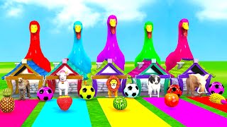 5 Giant Duck Cow, Panther, Lions, Rabbit, Dog Animals Play football Transfiguration New