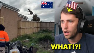 THIS WEEK IN AUSTRALIA [86]