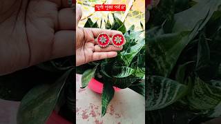 Diy earrings//Durga puja special jwellery#ytshorts #diy #durgapuja #handmade #shortsfeed #shorts