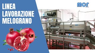 LINEA LAVORAZIONE MELOGRANO "Masseria Frutti rossi"