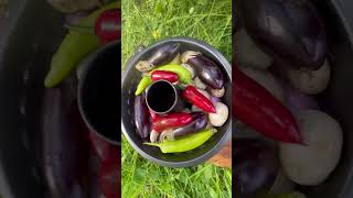 Dogada teneke tevuk cooking tin chicken in neture #shorts