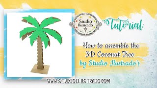 How to assemble the 3D Coconut Tree by Studio Ilustrado