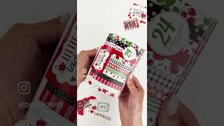 Little Ladybug Cardmakers Kit