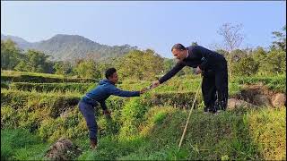 Ternyata Ada Villa Misterius Diantara Tanaman Langka Di Tengah Sawah