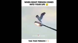 When right person comes in your life